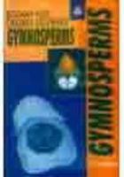 Gymnosperms: Botany for Degree Students 8121908809 Book Cover