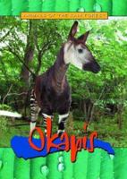 Okapis (Animals of the Rain Forest) 073986839X Book Cover
