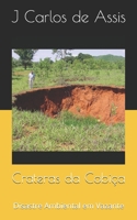 Crateras da Cobiça: Disastre Ambiental em Vazante (Portuguese Edition) B0FBHXM8G9 Book Cover