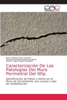 Caracterización De Las Patologías Del Muro Perimetral Del Itfip. 6203033782 Book Cover