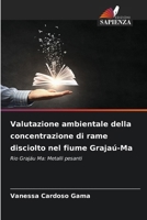 Valutazione ambientale della concentrazione di rame disciolto nel fiume Grajaú-Ma (Italian Edition) 6209472796 Book Cover