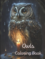 Owls Coloring Book: A painting fun for children and adults. Book Cover 1 B0BS9SX2KR Book Cover