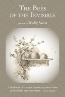 The Bees of the Invisible 1947067893 Book Cover