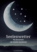 Seelenwetter: Wo Sternenlicht die Schatten durchbricht (German Edition) 3384389565 Book Cover
