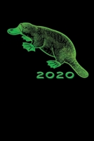 Terminkalender 2020: Schnabeltier Terminkalender und Tagesplaner ca DIN A5 farbig | 376 Seiten | 1 Seite pro Tag | Australien | Platypus (German Edition) 1674559615 Book Cover