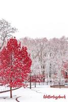 Wettertagebuch: A5 Wettertagebuch mit Icons & Platz f�r besondere Ereignisse - 52 Wochen - 365 Tage - Softcover 1076831966 Book Cover