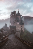 Baldus the Betrayer 0646834207 Book Cover