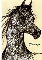 Musaafir. B0D9MHFV4W Book Cover