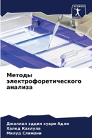 Методы электрофоретического анализа 6205960125 Book Cover