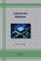 Calcium-Ion Batteries 1644903482 Book Cover