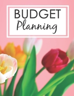 Budget Planning: Household Budget Planner Monthly Income Expense Tracker Personal Finance Debt Tracker 1697873359 Book Cover