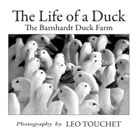 The Life of a Duck: The Barnhardt Duck Farm 1732443386 Book Cover