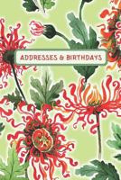 Addresses & Birthdays: Watercolor Chrysanthemum 1794064028 Book Cover