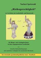 Risikogerechtigkeit: vor Gerichten, im Gesellschafts- und Steuerrecht 3837024369 Book Cover