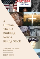 A Human, Then A Building, Now A Rising Stock 1662952376 Book Cover