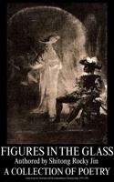 FIGURES IN THE GLASS 1764610008 Book Cover