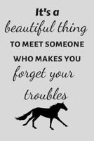 It's a beautiful thing to meet someone who makes you forget your troubles 1090381344 Book Cover