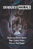 Deadliest Animals: Dangerous Animal Species High-Quality Photos, Pictures, And Images: Animals On The Planet B09DFK5STP Book Cover