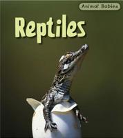 Reptiles 1403492530 Book Cover