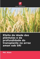 Efeito da idade das plântulas e da profundidade do transplante no arroz aman sob SRI 6205649470 Book Cover