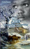 Joey-Das Geheimnis von Swake Valley: Eine Weihnachtsgeschichte 3740749881 Book Cover
