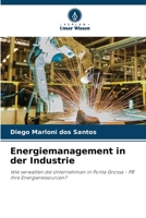 Energiemanagement in der Industrie (German Edition) 6207971361 Book Cover