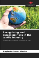 Recognising and assessing risks in the textile industry 6208515696 Book Cover
