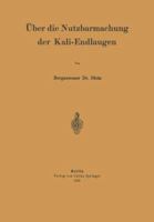 Uber Die Nutzbarmachung Der Kali-Endlaugen 3642987222 Book Cover