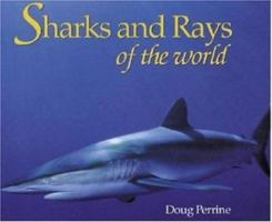 Sharks & Rays of the World 0896584488 Book Cover