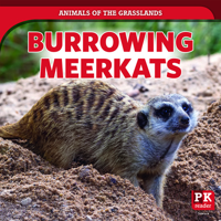 Burrowing Meerkats (Animals of the Grasslands) 1725316927 Book Cover