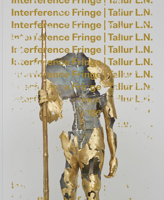 Tallur L.N.: Interference Fringe 1646570006 Book Cover