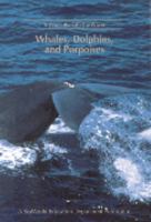 A World Beneath the Waves: Whales, Dolphins and Porpoises (SeaWorld Education Series) 1893698017 Book Cover