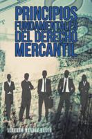 Principios Fundamentales del Derecho Mercantil: Colisi�n Entre Equidad y Libertad 1506516769 Book Cover