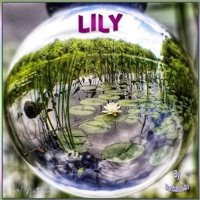 LILY (Rose's Adventures) B08GLSWXH5 Book Cover