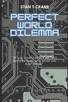 Perfect World Dilemma B0BW2LXRXH Book Cover