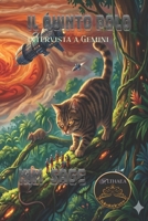 IL QUINTO POLO: A tu per tu con Gemini (Italian Edition) B0GYNSQBYB Book Cover
