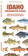 Idaho Freshwater Fishes: A Waterproof Folding Guide to Familiar Species 1620055643 Book Cover