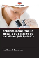 Antigène membranaire apical 1 du parasite du paludisme (Pf83/AMA1) 6202439947 Book Cover