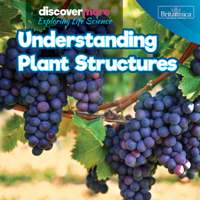 Understanding Plant Structures (Discover More: Exploring Life Science) 1641901748 Book Cover