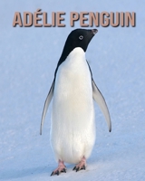 Adélie Penguin: Beautiful Pictures & Interesting Facts Children Book About Adélie Penguin B08K4K2JRQ Book Cover