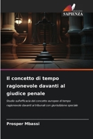 Il concetto di tempo ragionevole davanti al giudice penale (Italian Edition) 6206674517 Book Cover