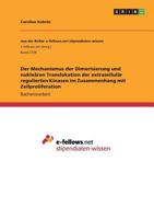Der Mechanismus der Dimerisierung und nukleären Translokation der extrazellulär regulierten Kinasen im Zusammenhang mit Zellproliferation 3668677158 Book Cover