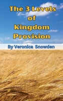 The 3 Levels of Kingdom Provision: Discover How To Access Kingdom Provision Regardless of Your Income, Education or Background B0C7FH9T44 Book Cover