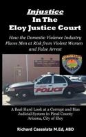 Injustice in the Eloy Justice Court: How the Domestic Violence Industry Places the Public at Risk from Violent Women Across Arizona. Real Cases, Real Stories 1500811467 Book Cover