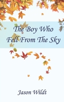 The Boy Who Fell From the Sky 1523214724 Book Cover
