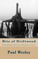 Bits of Driftwood: Unforgettable American Adventure Stories 1482716399 Book Cover