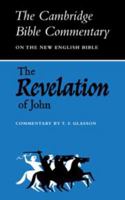 The Revelation of John 0521042089 Book Cover