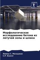 Морфологическое исследование бетона из летучей золы и шлака 6206014835 Book Cover