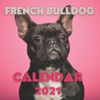 French Bulldog Calendar 2021: Cute Calendar Gag gift for Dogs Lovers B08QSDDLF5 Book Cover