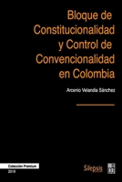 Bloque de Constitucionalidad y Control de Convencionalidad en Colombia 1704839289 Book Cover